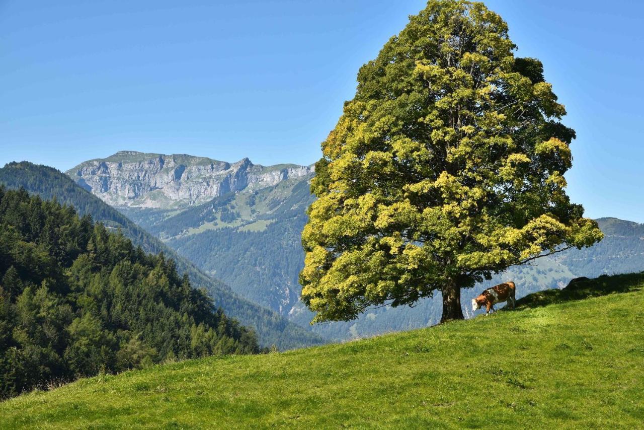 Gwercherwirt Brandenberg Luaran gambar